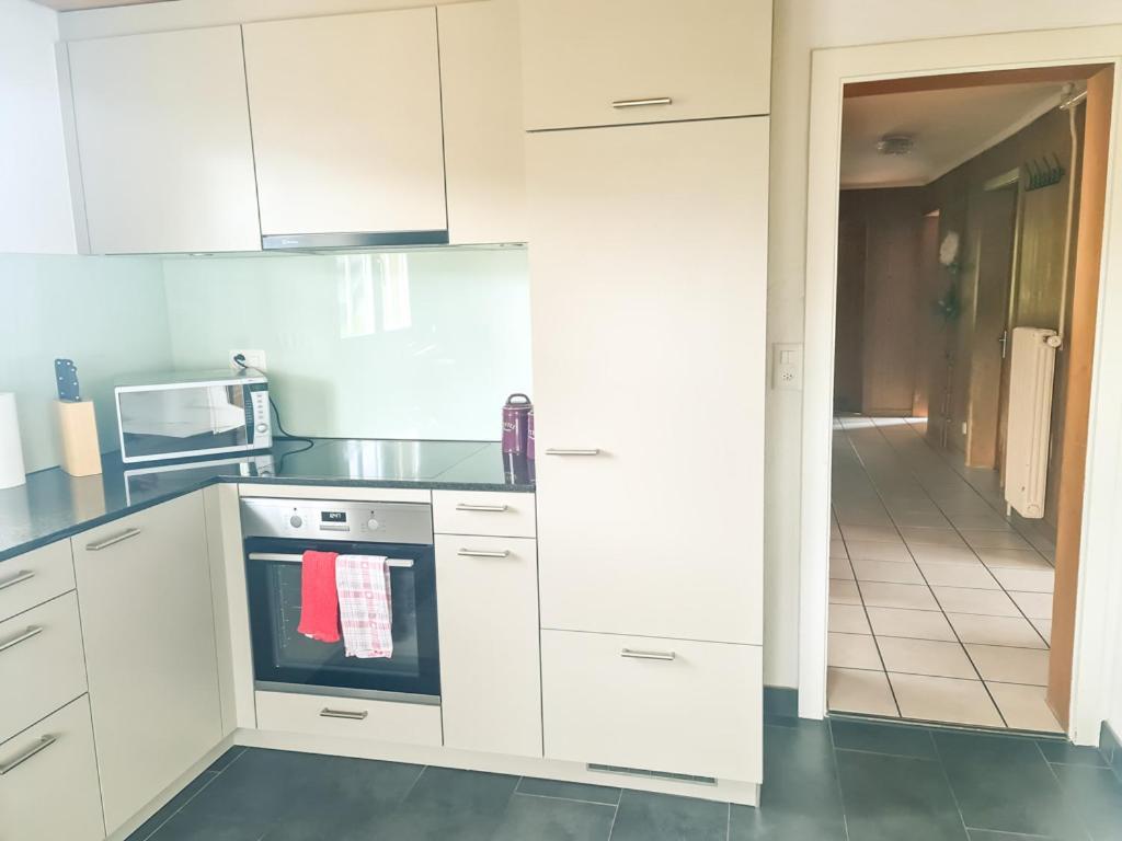 Abendberg Apartment - Aare Jungfrau Ag Wilderswil Ngoại thất bức ảnh