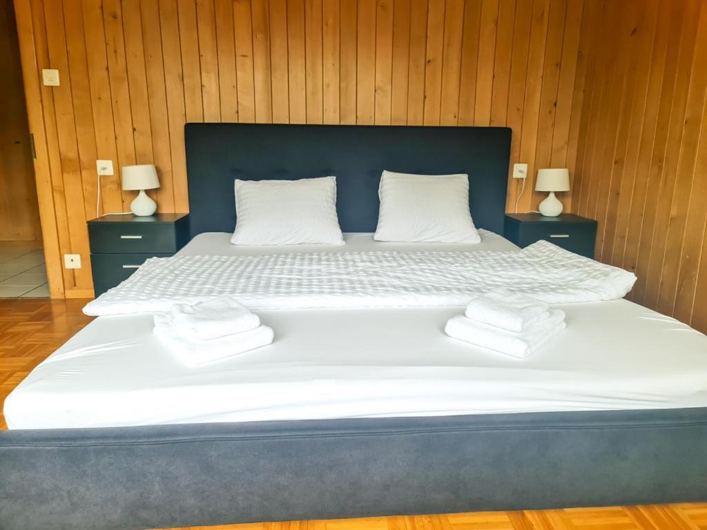 Abendberg Apartment - Aare Jungfrau Ag Wilderswil Ngoại thất bức ảnh