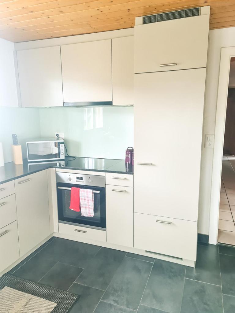 Abendberg Apartment - Aare Jungfrau Ag Wilderswil Ngoại thất bức ảnh