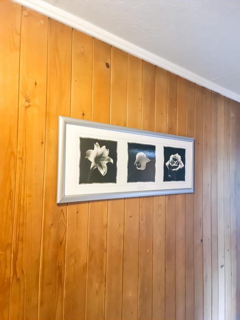 Abendberg Apartment - Aare Jungfrau Ag Wilderswil Ngoại thất bức ảnh